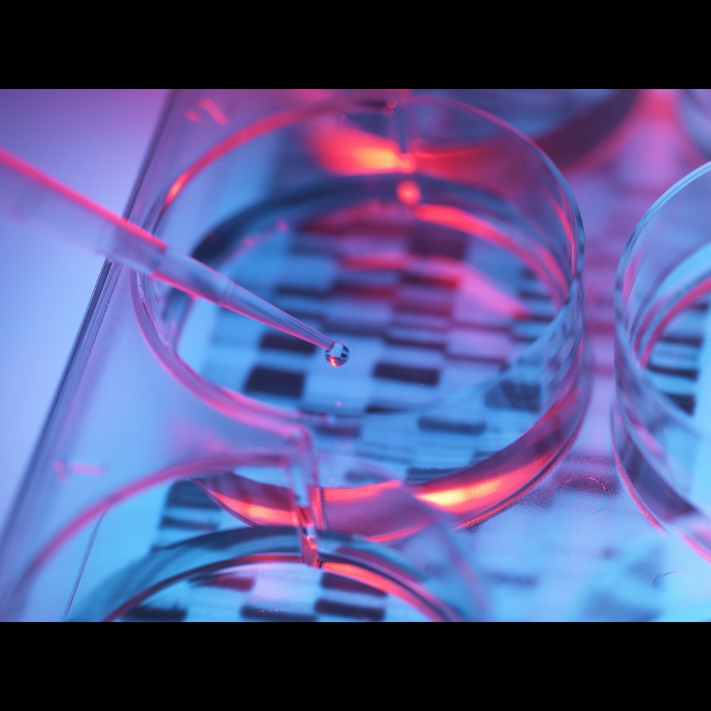Porcine Genomic DNA, Male, Z, 0.1mg