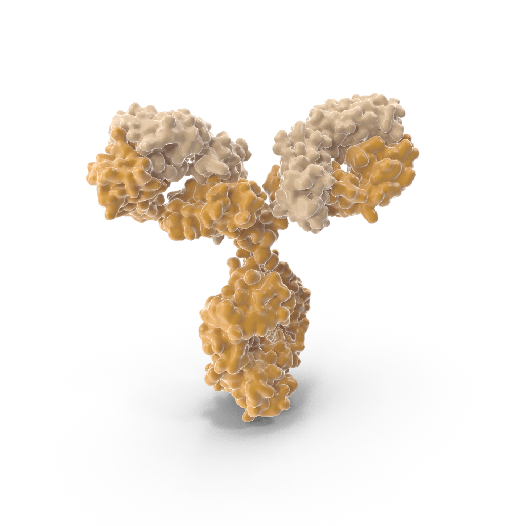Human IgG Antibody size: 5 mg