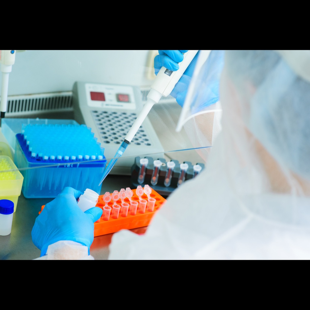 Mycoplasma Pro PCR Detection Kit size: 100 rxn